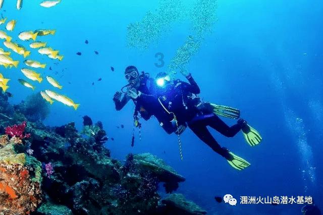修武连翘生态原产地通过专家组评审